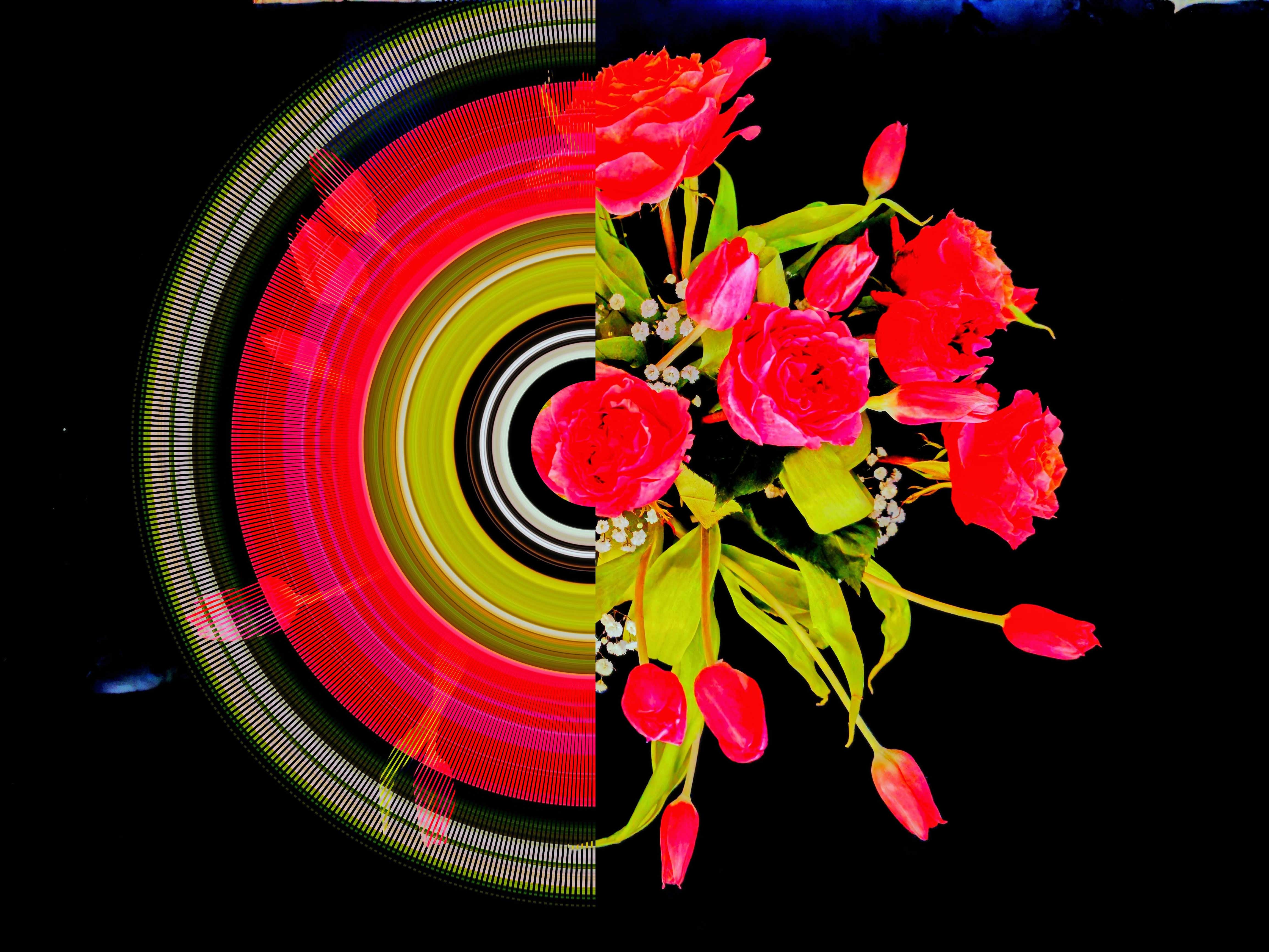 Arc Brush — generative art tool
